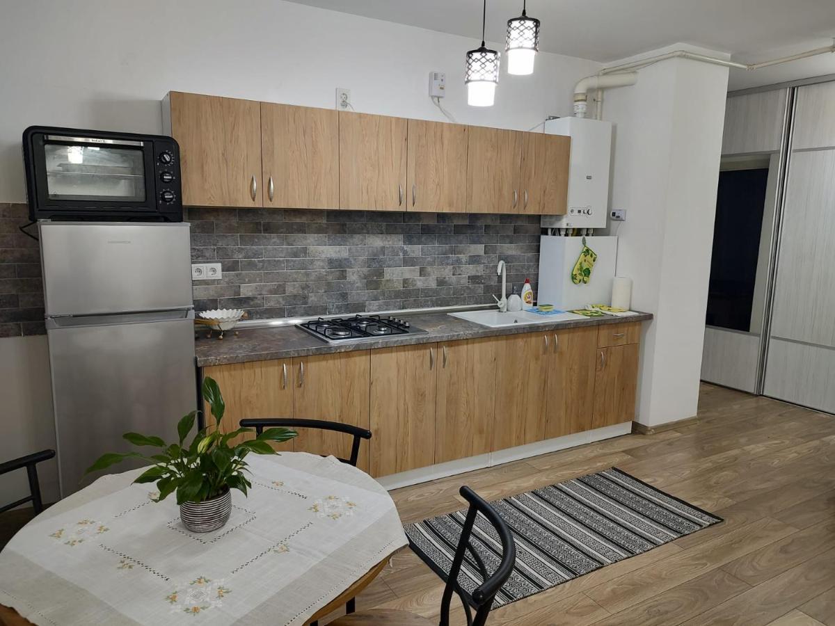 Ferienwohnung Casa Ioana Târgu-Mureş Exterior foto