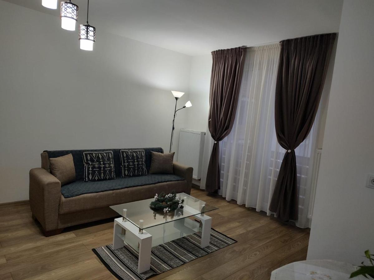 Ferienwohnung Casa Ioana Târgu-Mureş Exterior foto